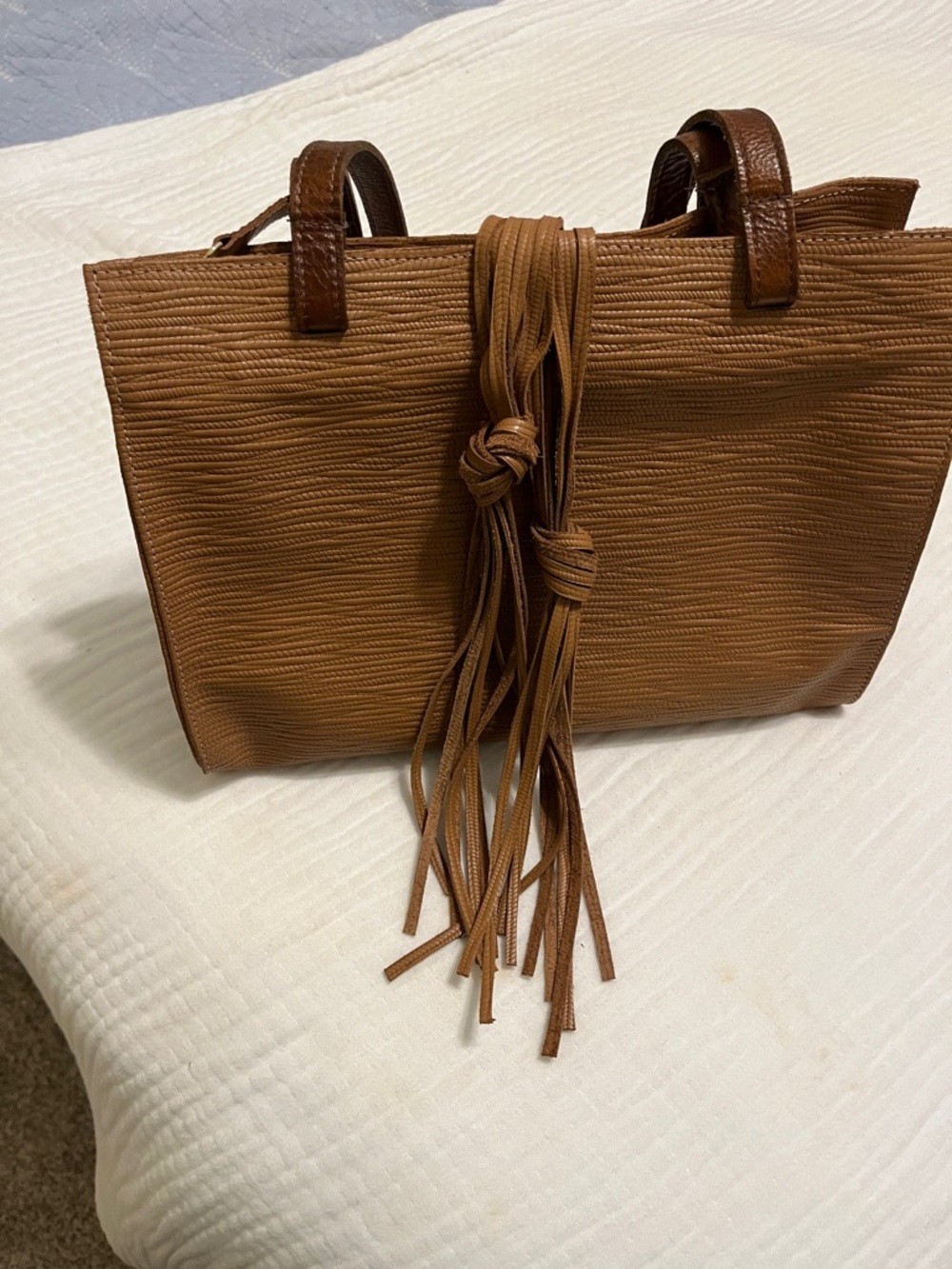 Carla Mancini Mini Zipper Top Tote/purse